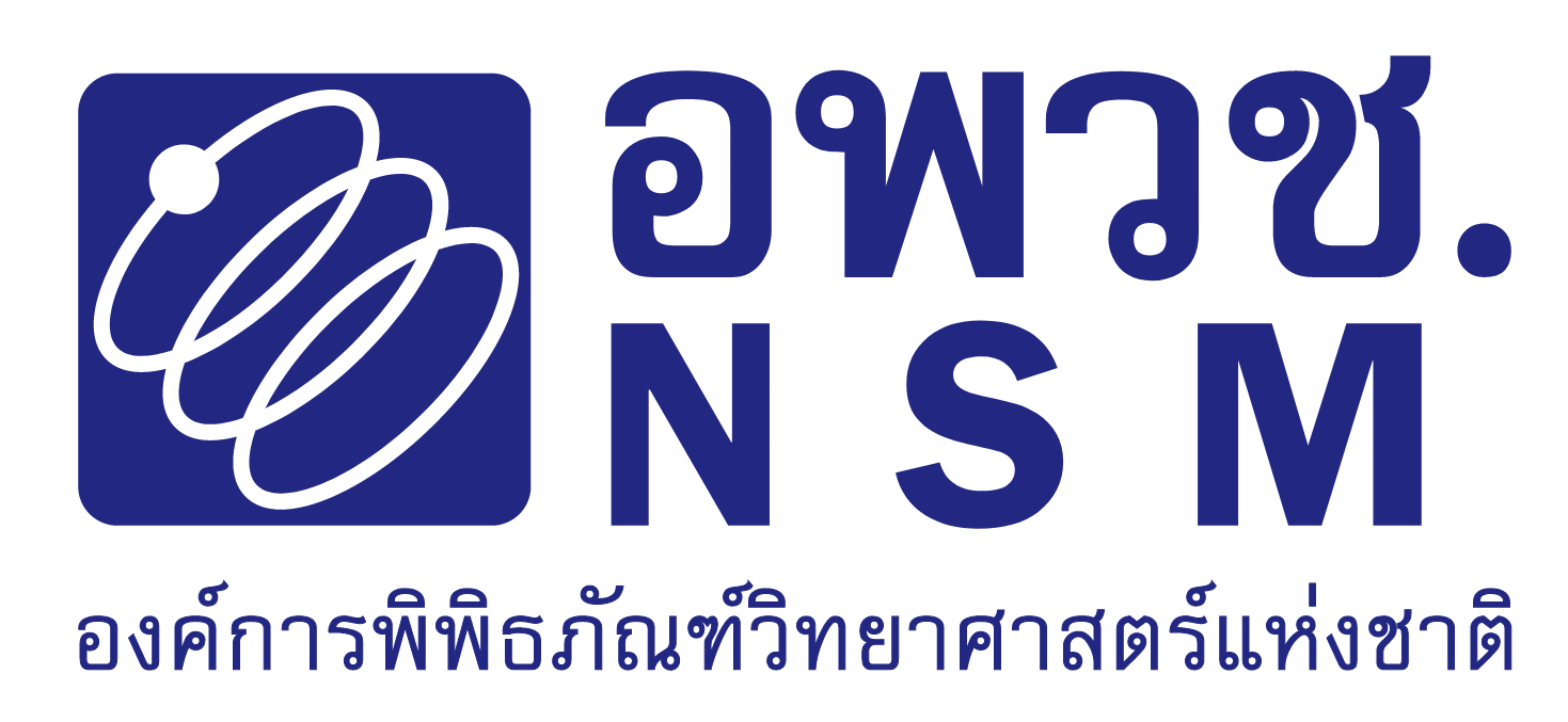 logo nsm